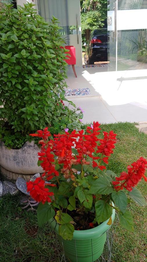 فندق Alto Paraíso de Goiásفي  Casal Ostara Begonia المظهر الخارجي الصورة