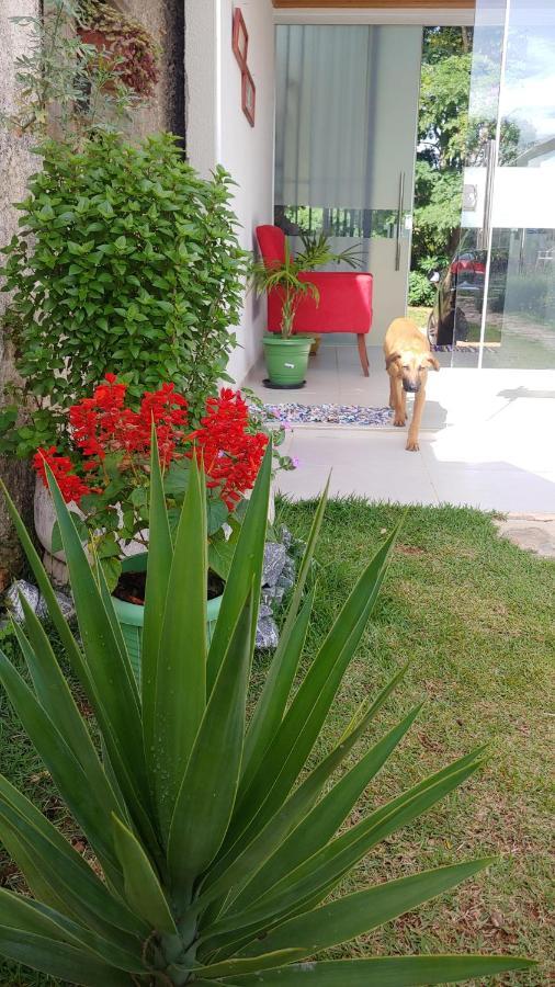 فندق Alto Paraíso de Goiásفي  Casal Ostara Begonia المظهر الخارجي الصورة